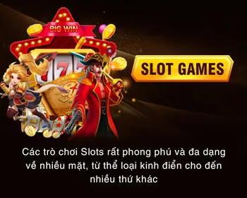Các cấp độ VIP tại S666